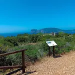 White Alghero