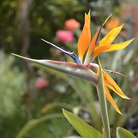 ゲストハウス White 3*