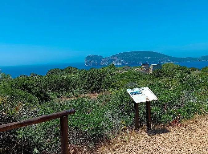 White Αλγκέρο